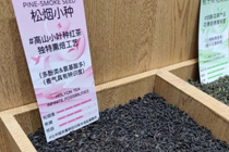 今年流行“烟感”奶茶？鸭屎香后又一爆款茶底？